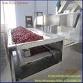 Tunnel Date Drying Sterilization Machine Microwave Dryer Sterilizer 2