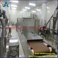 Tunnel Date Drying Sterilization Machine Microwave Dryer Sterilizer 3