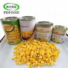 Canned Sweet Corn