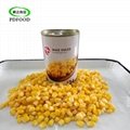 Canned Sweet Corn Kernel 1