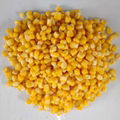 Canned Sweet Corn Kernel 5