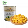 Canned Sweet Corn 340g