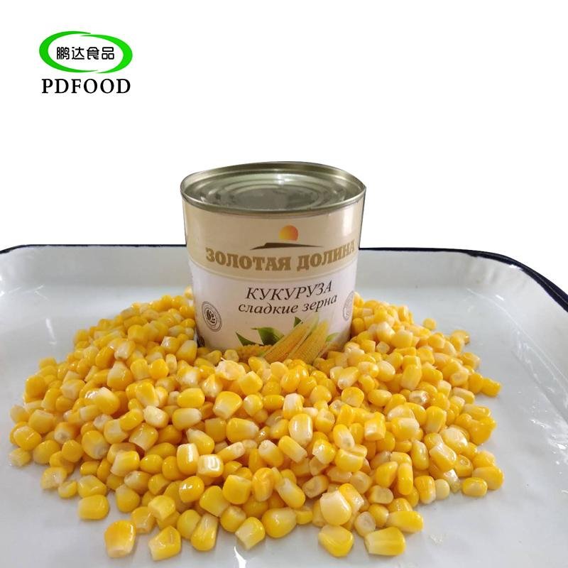 Canned Sweet Corn 340g 5