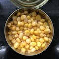 Canned Whole Kernel Sweet Corn