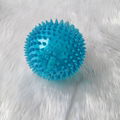 Pet Squeaker Ball Squeaky Sound Cat Dog Training Chew Play Toy  1