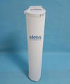 AP Series High Flow Water Filter