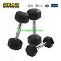 Rubber Hex Dumbbell 1