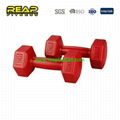 Plastic Dumbbell