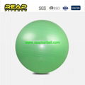 Yoga Ball 1