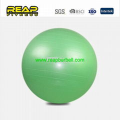 Yoga Ball