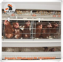 Egg chicken cages for poultry house can rasing 20000 birds in house