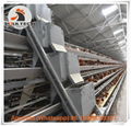 Zambia poultry layer cage for poultry farming 1