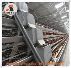 Zambia poultry layer cage for poultry farming