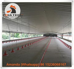 Colombia broiler chicken floor raising system with automatic feeding lines