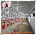 Colombia broiler chicken floor raising system with automatic feeding lines