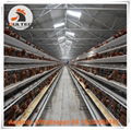 Zambia poultry layer cage for poultry farming 5