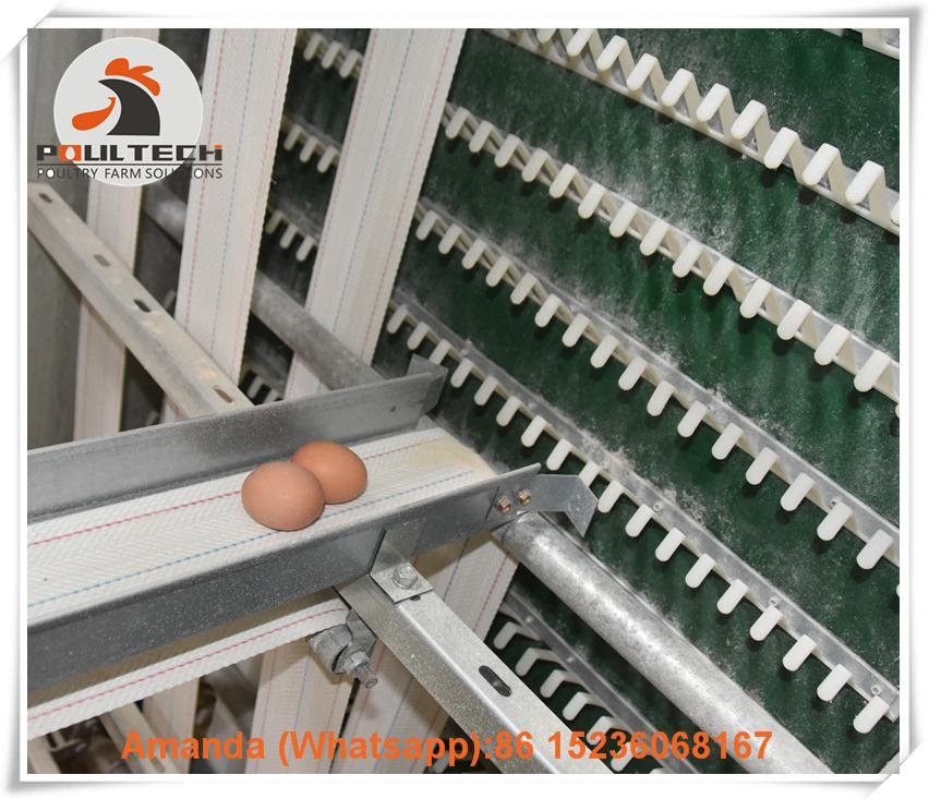 Ghana battery layer chicken cages for poultry farming with 3000 birds  2