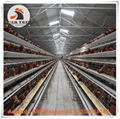 Ghana battery layer chicken cages for poultry farming with 3000 birds 