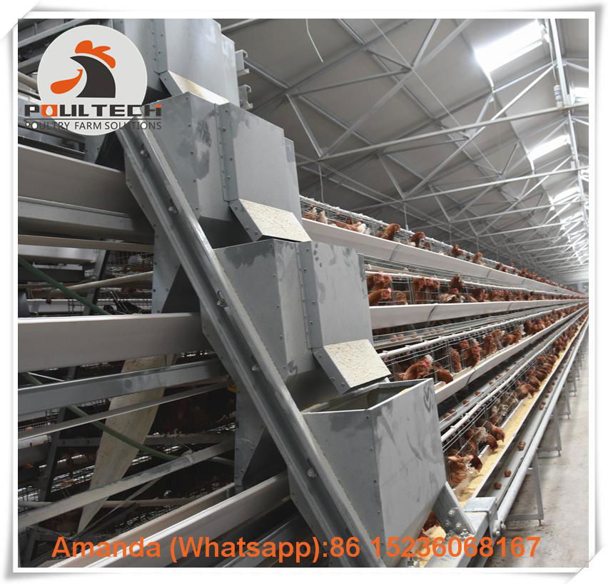 Ghana battery layer chicken cages for poultry farming with 3000 birds  4