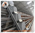 Ghana battery layer chicken cages for poultry farming with 3000 birds 