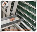 Layer farming use battery poultry cages