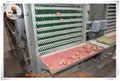 Layer farming use battery poultry cages rearing 20000 birds in house