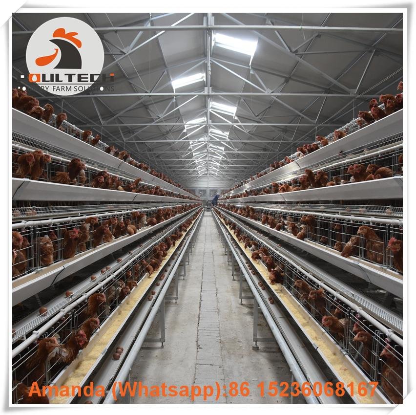 Layer farming use battery poultry cages rearing 20000 birds in house 4
