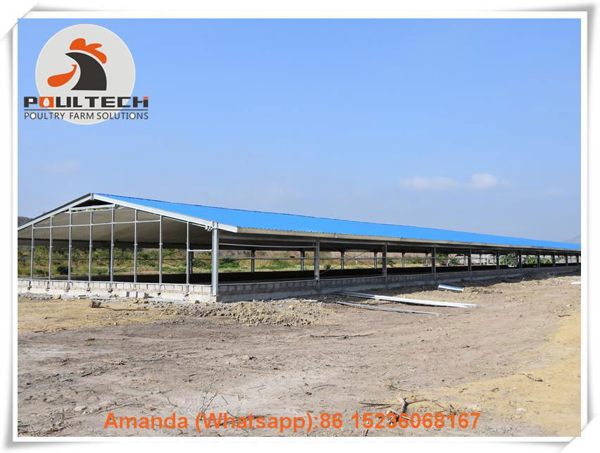 Bolivia chicken broiler slatted floor system for poultry farming 