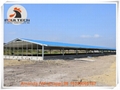 Bolivia chicken broiler slatted floor system for poultry farming  1