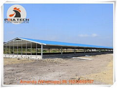 Bolivia chicken broiler slatted floor system for poultry farming 