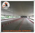 Bolivia chicken broiler slatted floor system for poultry farming 