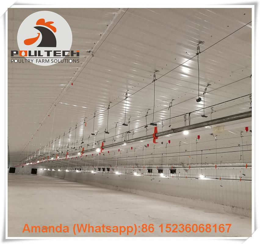 Bolivia chicken broiler slatted floor system for poultry farming  4