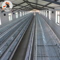 Hen chicken cages can raising 30000 bird in house with automatic feeding machine 2