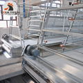 Hen chicken cages can raising 30000 bird in house with automatic feeding machine