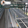 Hen chicken cages can raising 30000 bird in house with automatic feeding machine 4