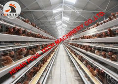 Hen chicken cage for poultry farming battery chicken cage with 10000 birds