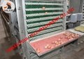 Layer chicken cage & battery chicken cage rearing 30000 birds in house 5