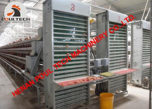 Hen chicken cage for poultry farming battery chicken cage with 10000 birds 3