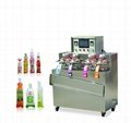 inflatable bag filling and sealing machine 2