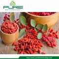 Dried Fruit Goji Berry