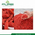 Dried Fruit Goji Berry  2