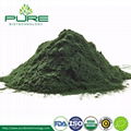 Organic Green Spirulina Powder 2