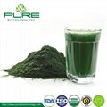 Organic Green Spirulina Powder 4