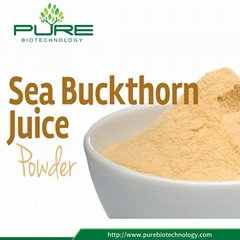 Natural Sea Buckthorn Berry Powder