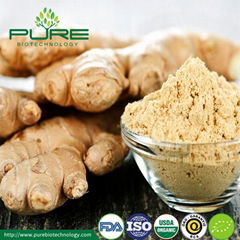 Organic Dried Ginger Powder