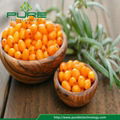 Raw Herbal Dried Sea Buckthorn Berries 3