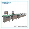 Weight Sorting Machine for Nuts and Kernels 3