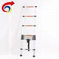 Beautiful Design Aluminum Alloy Telescopic Ladder 1