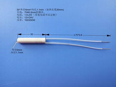 中醫電火針陶瓷加熱器發熱管