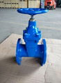 WCB Valve